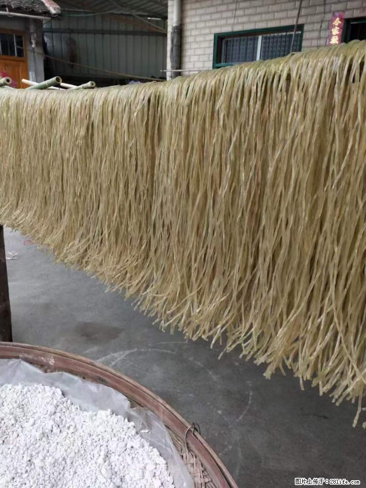 【灌阳正宗红薯粉】美女家里自己做的，干净卫生，假一赔十，价格合理，抢购电话：13737312895 - 美食天地 - 焦作生活社区 - 焦作28生活网 jiaozuo.28life.net