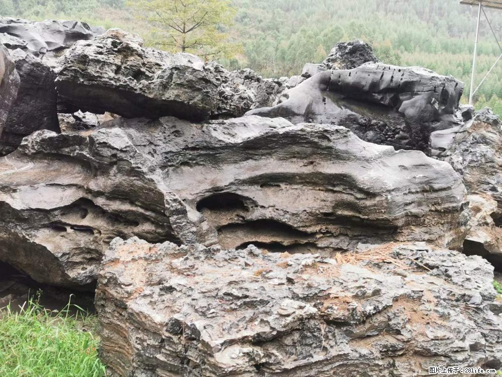 风景石、假山石大量有货，有需要的欢迎联系 - 新手上路 - 焦作生活社区 - 焦作28生活网 jiaozuo.28life.net