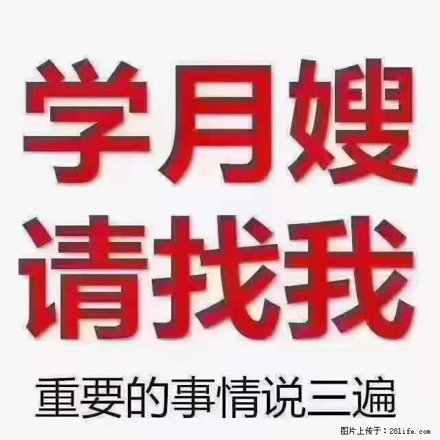 为什么要学习月嫂，育婴师？ - 新手上路 - 焦作生活社区 - 焦作28生活网 jiaozuo.28life.net