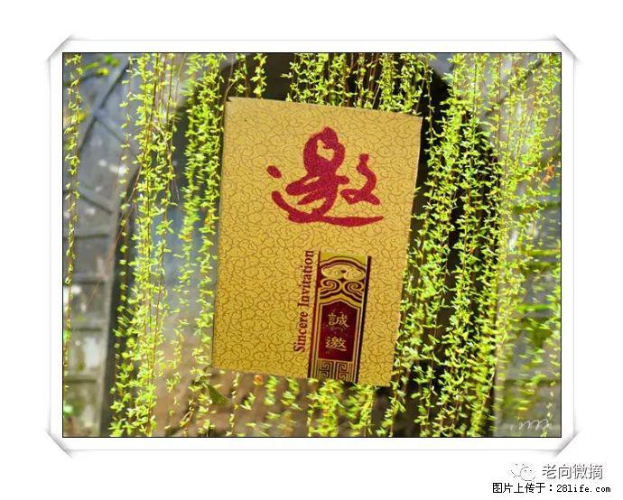 【春天，广西桂林灌阳县向您发出邀请！】开篇 - 游山玩水 - 焦作生活社区 - 焦作28生活网 jiaozuo.28life.net