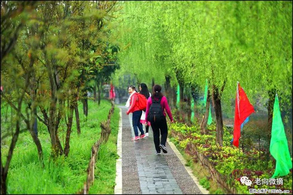 【春天，广西桂林灌阳县向您发出邀请！】江口老街又逢春 - 游山玩水 - 焦作生活社区 - 焦作28生活网 jiaozuo.28life.net