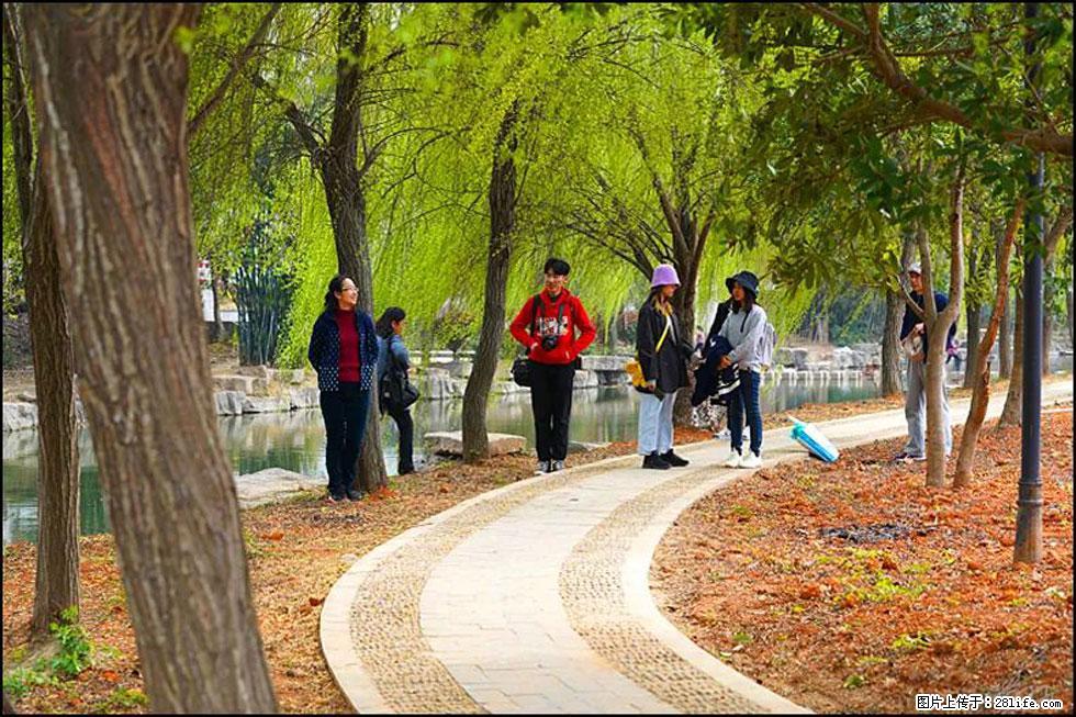 【春天，广西桂林灌阳县向您发出邀请！】江口老街又逢春 - 游山玩水 - 焦作生活社区 - 焦作28生活网 jiaozuo.28life.net