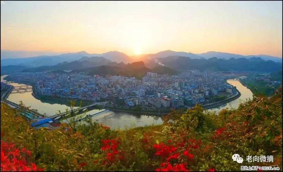 【春天，广西桂林灌阳县向您发出邀请！】登麒麟山，相约映山红 - 游山玩水 - 焦作生活社区 - 焦作28生活网 jiaozuo.28life.net