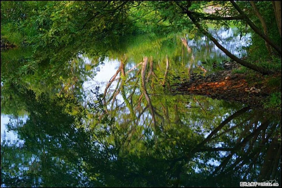 【春天，广西桂林灌阳县向您发出邀请！】熊家寨湿地公园 - 游山玩水 - 焦作生活社区 - 焦作28生活网 jiaozuo.28life.net