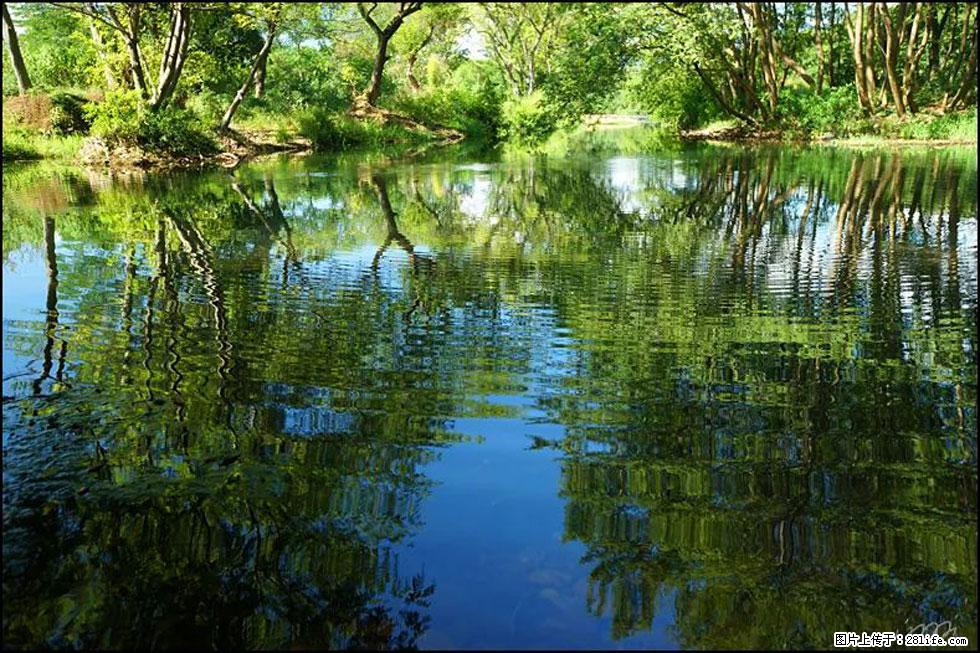 【春天，广西桂林灌阳县向您发出邀请！】熊家寨湿地公园 - 游山玩水 - 焦作生活社区 - 焦作28生活网 jiaozuo.28life.net