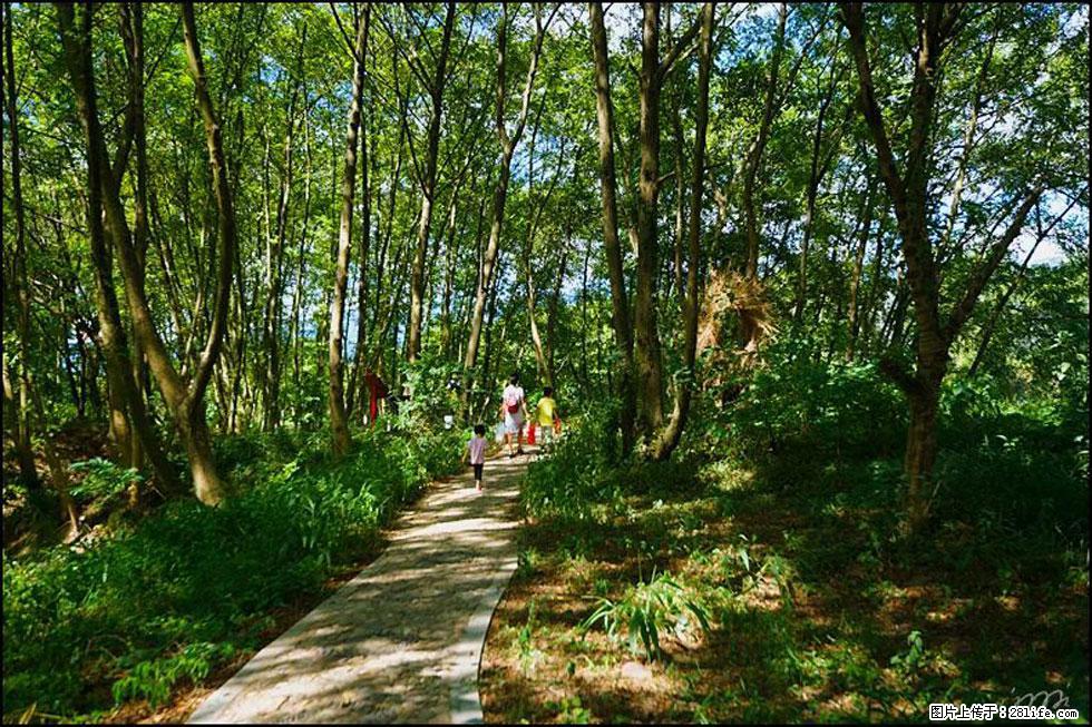【春天，广西桂林灌阳县向您发出邀请！】熊家寨湿地公园 - 游山玩水 - 焦作生活社区 - 焦作28生活网 jiaozuo.28life.net