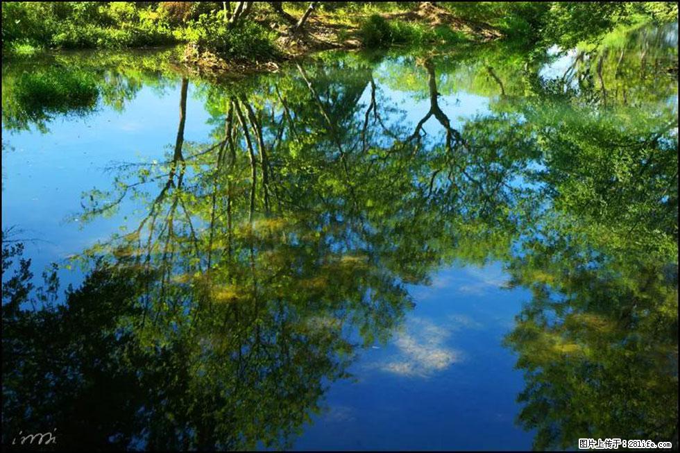 【春天，广西桂林灌阳县向您发出邀请！】熊家寨湿地公园 - 游山玩水 - 焦作生活社区 - 焦作28生活网 jiaozuo.28life.net