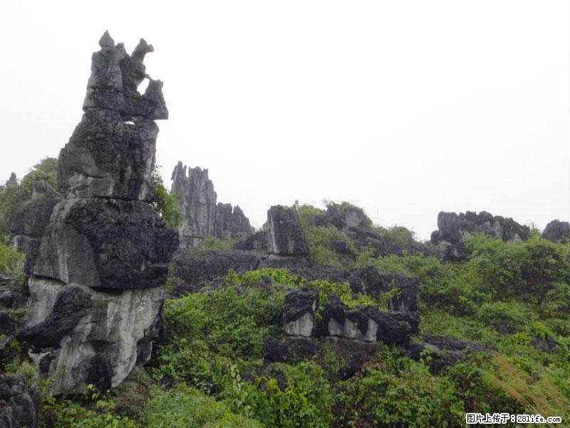桂林旅游名城景点：灌阳文市石林 - 游山玩水 - 焦作生活社区 - 焦作28生活网 jiaozuo.28life.net
