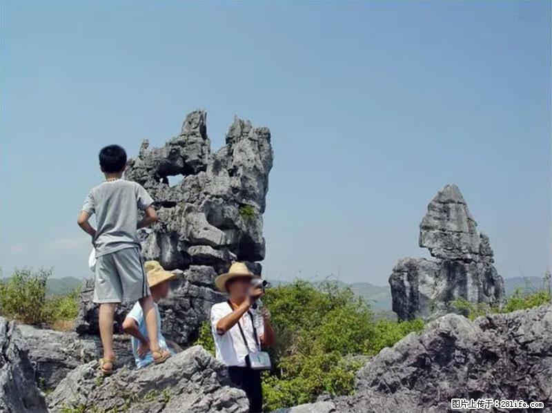 桂林旅游名城景点：灌阳文市石林 - 游山玩水 - 焦作生活社区 - 焦作28生活网 jiaozuo.28life.net