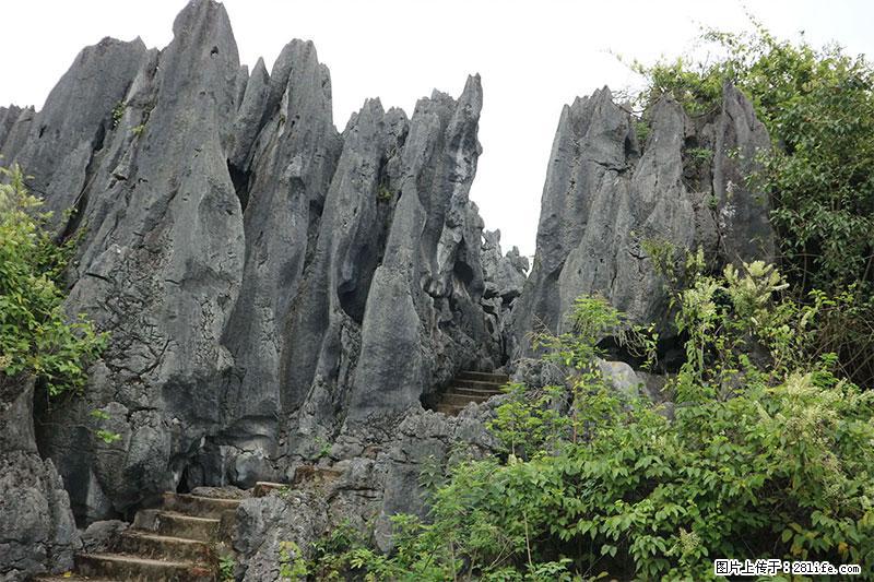 桂林旅游名城景点：灌阳文市石林 - 游山玩水 - 焦作生活社区 - 焦作28生活网 jiaozuo.28life.net