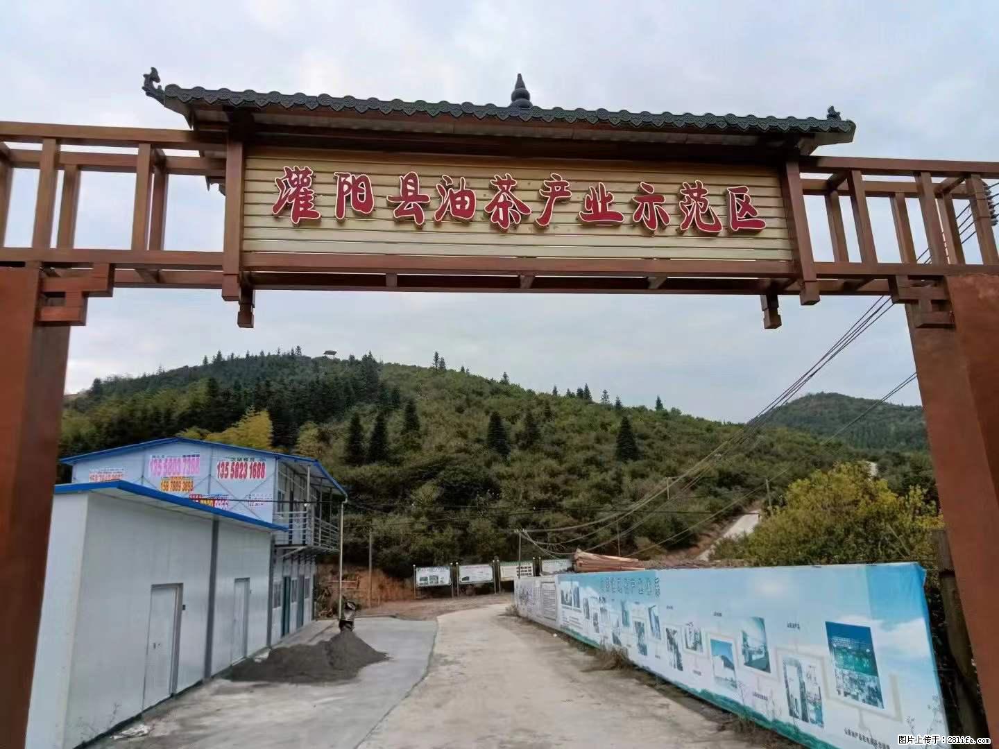 【灌阳县油茶产业示范区】一个有着充实的精神生活的人，对待身外之物自会有一种淡泊的态度 - 土特产 - 饮食特产 - 焦作分类信息 - 焦作28生活网 jiaozuo.28life.net
