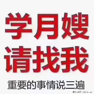 为什么要学习月嫂，育婴师？ - 焦作28生活网 jiaozuo.28life.net