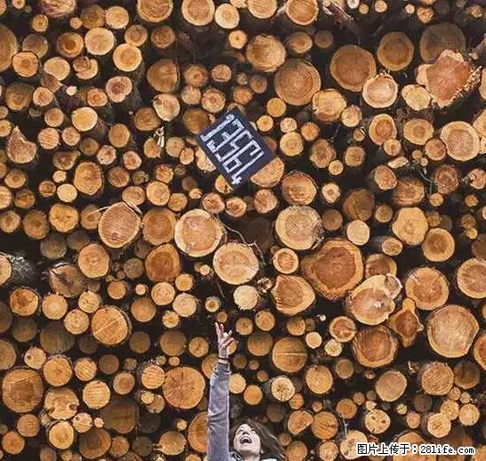 辞掉工作周游世界？现在他们在洗厕所…… - 游山玩水 - 焦作生活社区 - 焦作28生活网 jiaozuo.28life.net