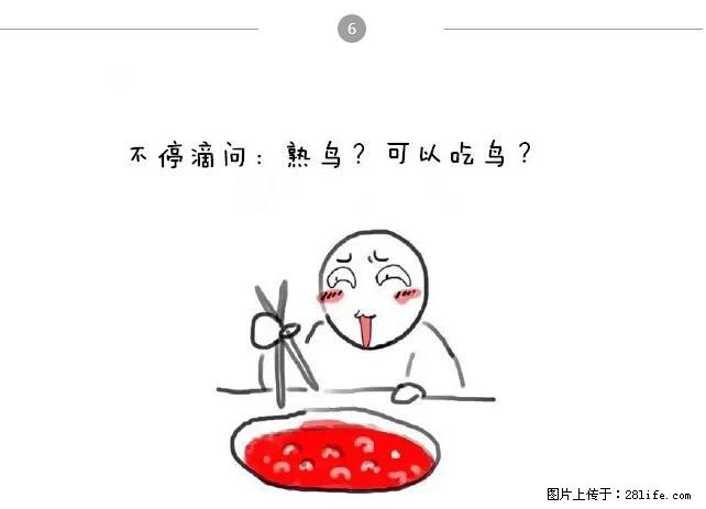千万不要和这9种哈卵一起吃火锅！ - 美食天地 - 焦作生活社区 - 焦作28生活网 jiaozuo.28life.net