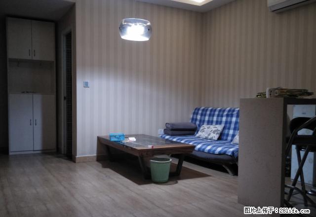 新区嘉隆国际电梯豪装公寓出租！！！ - 房屋出租 - 房屋租售 - 焦作分类信息 - 焦作28生活网 jiaozuo.28life.net
