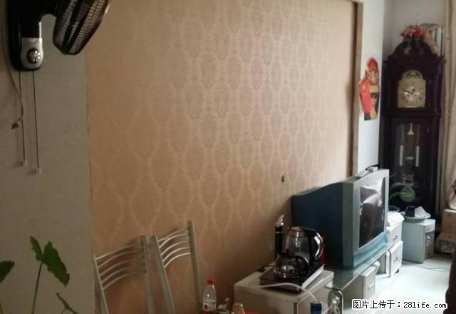 卫校南边.西苑小区:一楼、精装三室，月租1000元，家电齐全 - 房屋出租 - 房屋租售 - 焦作分类信息 - 焦作28生活网 jiaozuo.28life.net