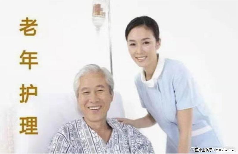 上海国企养老院，星级酒店环境，招聘养老护工 - 职场交流 - 焦作生活社区 - 焦作28生活网 jiaozuo.28life.net