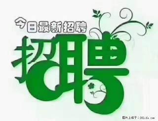 【招聘摄像师】待遇：试用期6000元/月，转正7000元/月+五险一金+餐补+节日福利+奖金 - 焦作28生活网 jiaozuo.28life.net