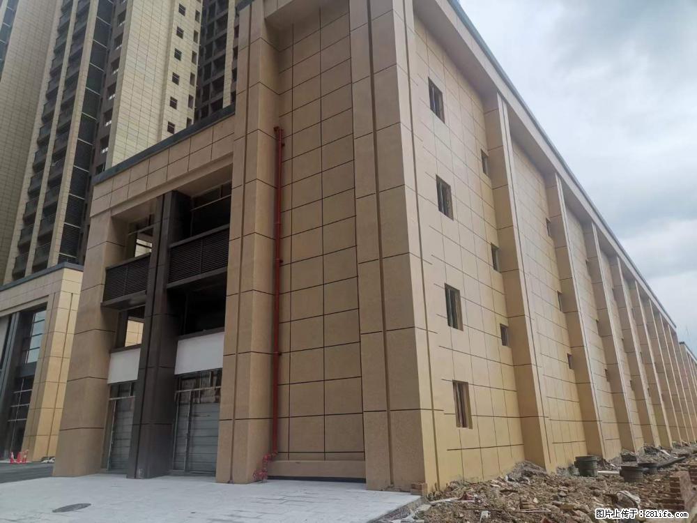 【广西三象建筑安装工程有限公司】外墙涂料工程 - 新手上路 - 焦作生活社区 - 焦作28生活网 jiaozuo.28life.net