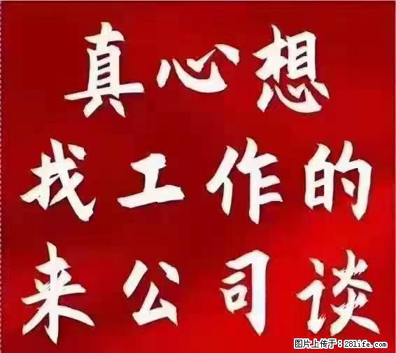 【上海】国企，医院招两名男保安，55岁以下，身高1.7米以上，无犯罪记录不良嗜好 - 职场交流 - 焦作生活社区 - 焦作28生活网 jiaozuo.28life.net