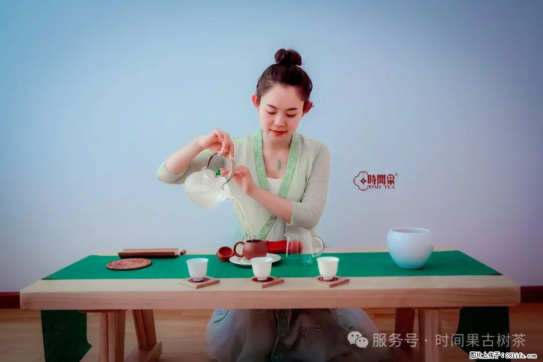 时间果百年古树龙珠普洱生茶 - 购物交流 - 焦作生活社区 - 焦作28生活网 jiaozuo.28life.net