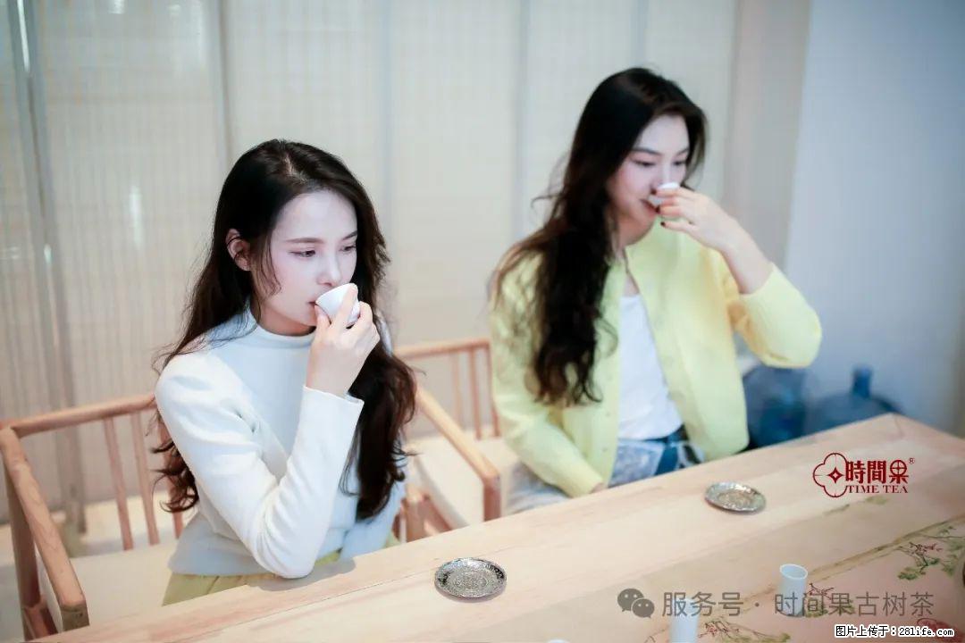时间果百年古树龙珠普洱生茶 - 购物交流 - 焦作生活社区 - 焦作28生活网 jiaozuo.28life.net