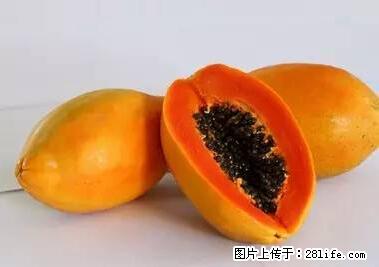 晕车、脚气、牙齿变黄、皮肤粗糙？学会这些三分钟搞定！ - 焦作生活资讯 - 焦作28生活网 jiaozuo.28life.net