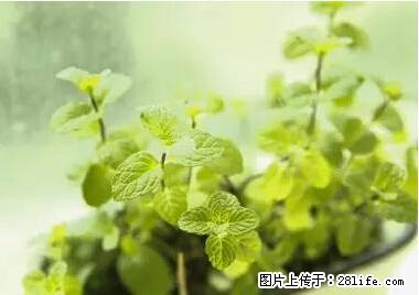晕车、脚气、牙齿变黄、皮肤粗糙？学会这些三分钟搞定！ - 焦作生活资讯 - 焦作28生活网 jiaozuo.28life.net