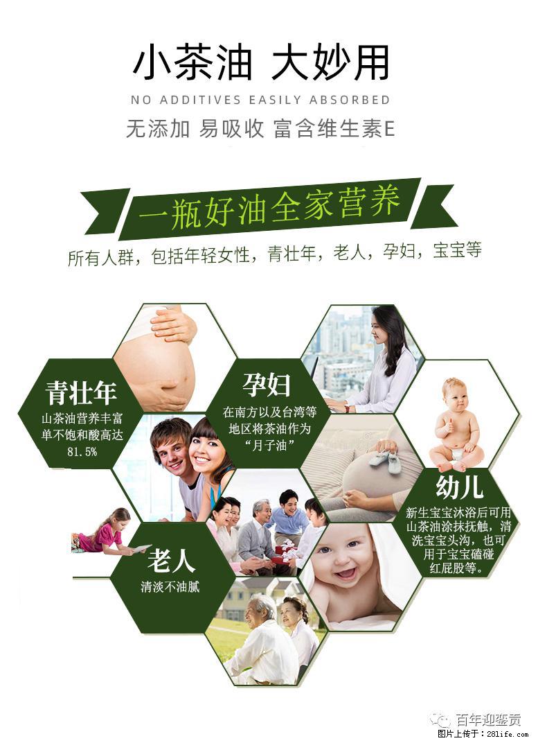 世界没有真相，只有认知，最好的食用油是中国的山茶油！ - 焦作生活资讯 - 焦作28生活网 jiaozuo.28life.net