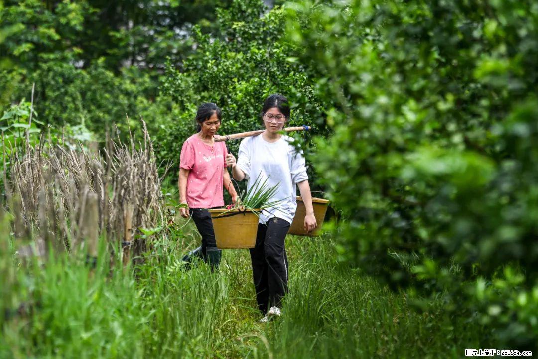 全网追的“扁担女孩”，找了一份暑假工，时薪12元 - 焦作生活资讯 - 焦作28生活网 jiaozuo.28life.net