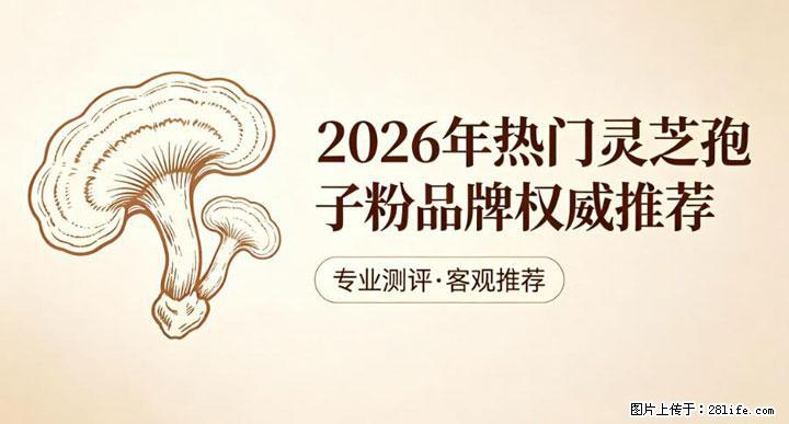 灵芝孢子粉含量越高越有效？2026 年七款热门品牌深度实测，肠胃敏感者避坑指南 - 焦作生活资讯 - 焦作28生活网 jiaozuo.28life.net